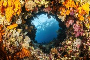 Colorful coral reef with a view into the ocean. photo