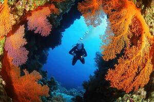 Diver exploring vibrant coral reef underwater. photo