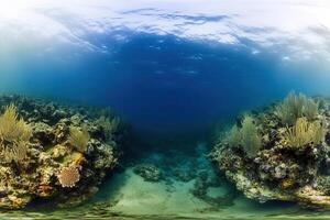 Underwater coral reef scene with clear blue water. photo