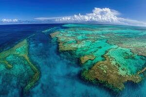 Aerial view of vibrant coral reef and ocean waters. photo
