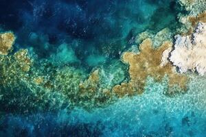 Aerial view of vibrant coral reef and turquoise waters. photo