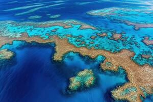 Aerial view of vibrant coral reef in blue ocean waters. photo