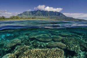 Coral reef underwater with mountain backdrop. photo
