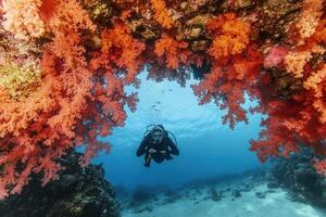 Diver exploring vibrant coral reef underwater. photo