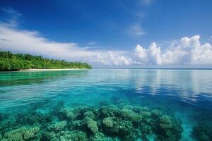 Serene ocean view with coral and lush greenery. photo
