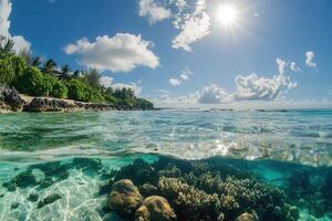 Serene underwater scene with coral and tropical landscape. photo