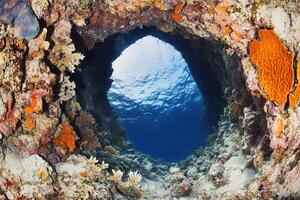 Underwater cave with colorful coral and marine life. photo