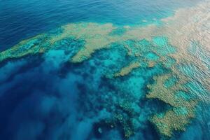 Aerial view of vibrant coral reefs in clear blue water. photo