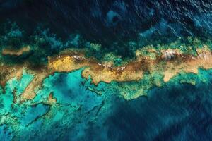 Aerial view of a vibrant coral reef in clear waters. photo