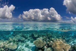 Underwater coral reef with vibrant marine life. photo