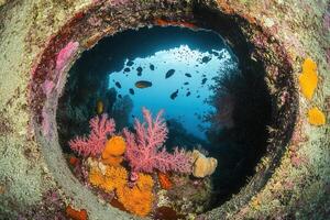 Underwater scene featuring coral and fish through a porthole. photo