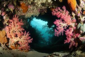 Underwater scene featuring vibrant coral formations. photo
