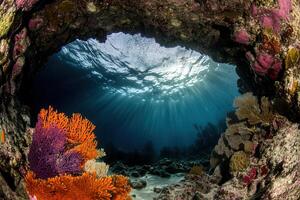 Underwater scene featuring vibrant coral and sunlight. photo