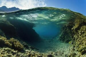 Underwater scene showcasing coral and sunlight. photo