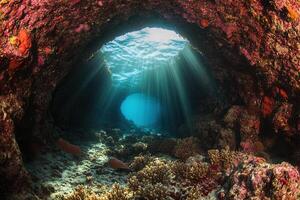 Underwater scene with coral and sunlight beams. photo