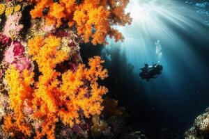 Underwater scene with vibrant coral and diver. photo
