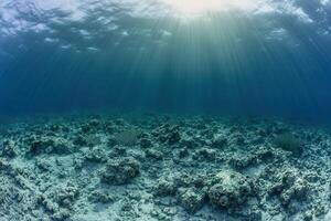 Underwater scene with sunlight rays illuminating the ocean. photo