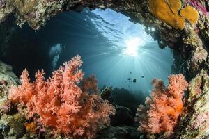 Underwater scene with vibrant coral and sun rays. photo