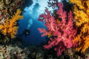 Underwater scene with vibrant corals and diver. photo