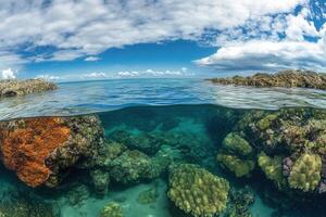 Underwater coral reef scene with clear blue water. photo