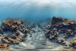 Underwater scene showcasing coral and sandy seabed. photo