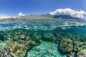 Underwater scene showcasing vibrant coral reefs and mountains. photo