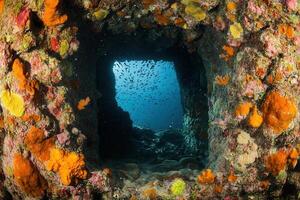Underwater view of a coral-covered structure. photo