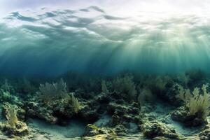 Underwater scene with coral and sunlight rays. photo