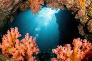 Underwater scene with vibrant coral and light rays. photo