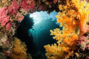 Underwater scene with vibrant coral and sunlight beams. photo