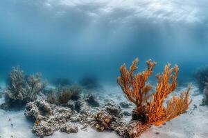 Underwater scene with vibrant coral and marine life. photo