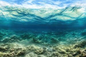 Underwater view of a vibrant ocean scene. photo