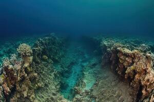 Underwater view of coral formations and ocean floor. photo