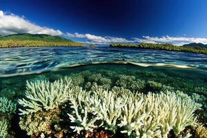 Underwater view of coral reefs and clear blue water. photo
