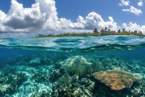 Underwater view of coral reefs and tropical landscape. photo