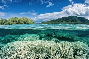 Underwater view of coral reefs and tropical landscape. photo