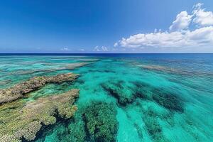 Vibrant coral reef and clear blue ocean waters. photo