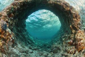 Underwater view through a circular coral formation. photo