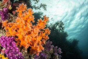 Vibrant coral reef showcasing colorful marine life. photo