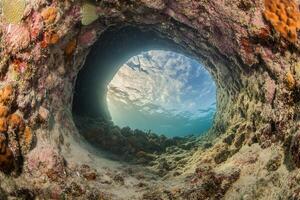 Underwater view through a circular coral formation. photo