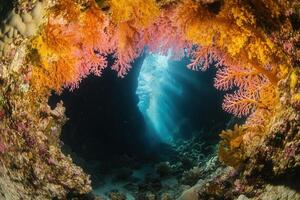 Vibrant coral reef scene with light rays underwater. photo