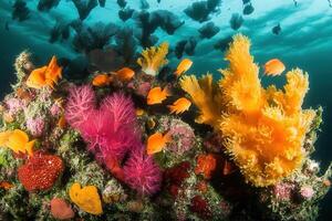 Vibrant coral reef teeming with colorful marine life. photo