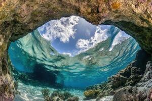 Underwater view through a coral arch, showcasing nature. photo