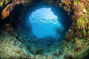 Underwater view through a colorful coral archway. photo