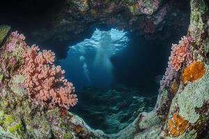 Underwater view through a coral archway. photo