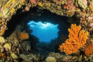 Underwater view through a coral archway, vibrant colors. photo