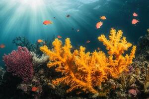 Vibrant coral reef teeming with colorful fish. photo