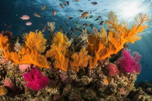 Vibrant coral reef teeming with colorful marine life. photo