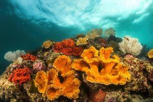 Vibrant coral reef teeming with colorful marine life. photo