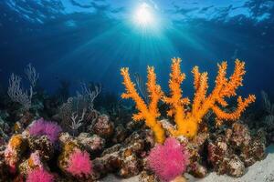 Vibrant coral reef with colorful marine life. photo